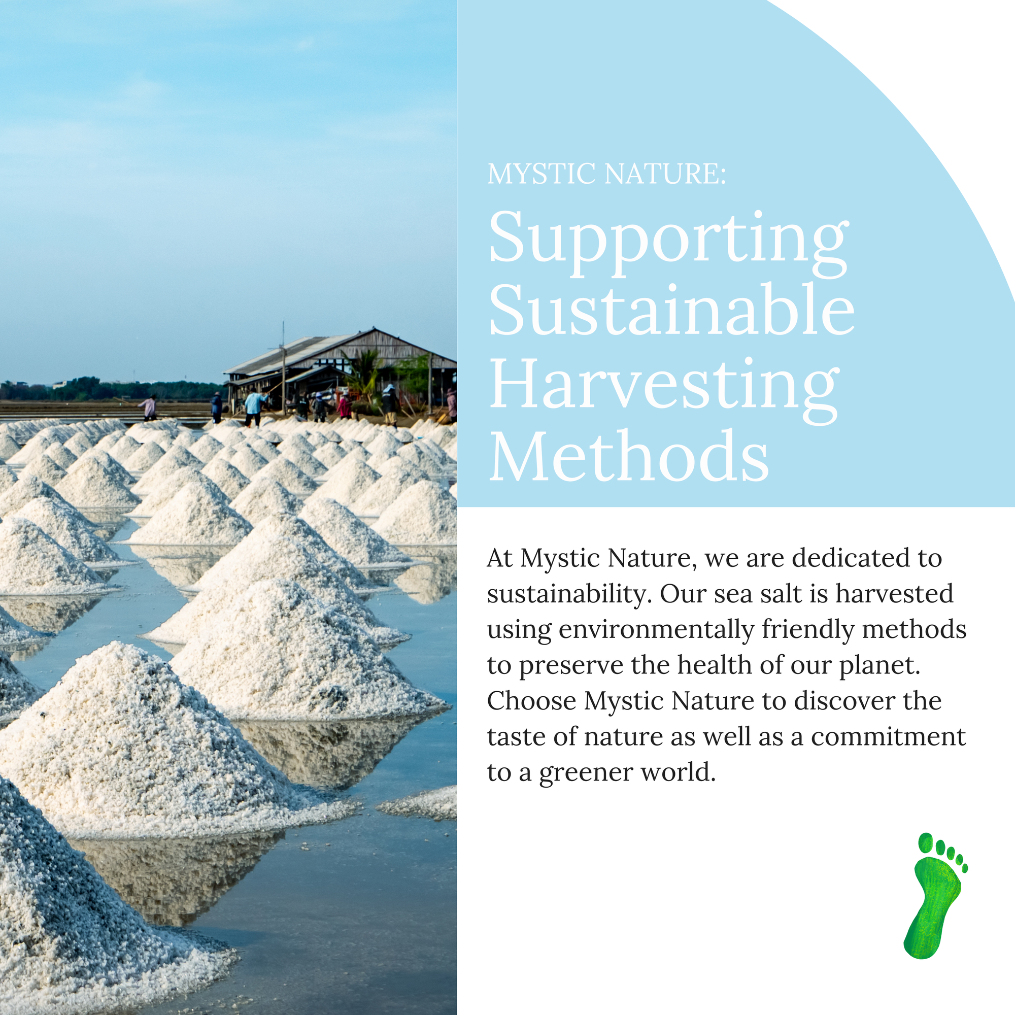 Celtic Sea Salt Fine Ground